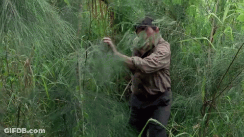 Man In Brown Shirt In Lush Green Forest GIF
