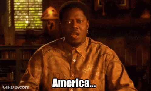 Man In Brown Shirt Says America GIF