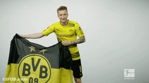 Man In BVB Jersey Holding Black And Yellow Flag GIF