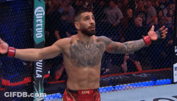Man In Cage Arms Outstretched UFC Sign GIF