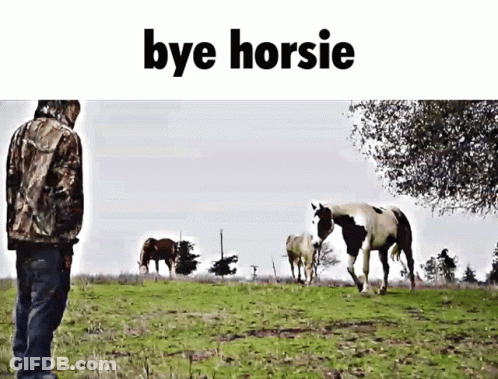 Man In Camo Jacket Saying Bye Horsie GIF