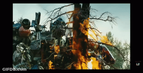 Man In Camouflage Jacket Attacked By Another Man Dankhiphop GIF