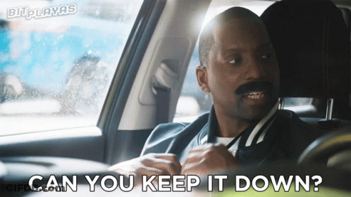 Man In Car Saying Can You Keep It Down GIF