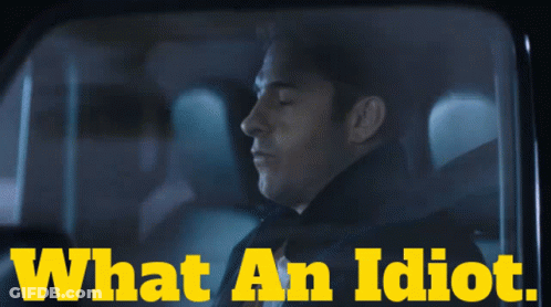 Man In Car Saying What An Idiot GIF