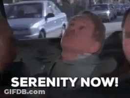 Man In Car Serenity Now GIF