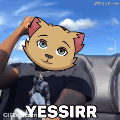 Man In Car With Cat On Head Yessirr GIF