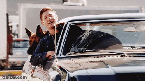 Man In Car With Dog Sticking Head Out Window GIF