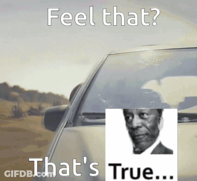 Man In Car With Feel That True GIF