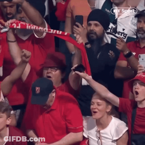 Man In Carlsberg Shirt Holding Up Scarf In Crowd GIF
