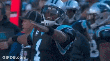 Man In Carolina Panthers Helmet Standing Next To Referee GIF