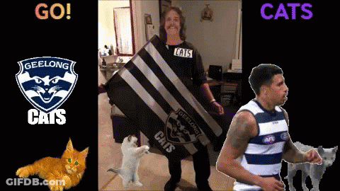 Man In Cat Shirt Next To Cat And Man In Cat Shirt GIF