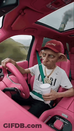 Man In Celine Hat Driving Car GIF
