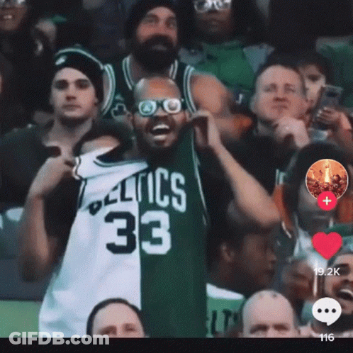 Man In Celtics 33 Jersey In Crowd GIF