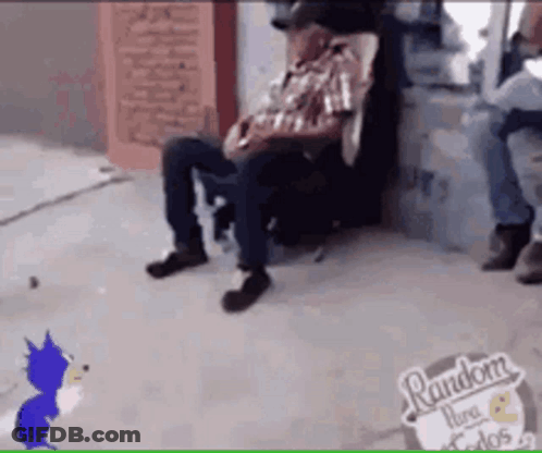 Man In Chair Beside Cat And Random Sign GIF