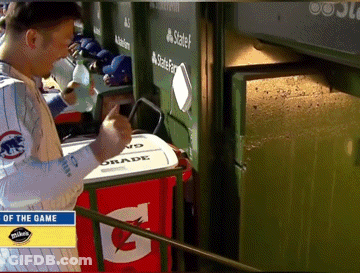 Man In Chicago Cubs Jersey With Gatorade Cooler GIF