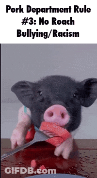 Man In City Wok Restaurant GIF