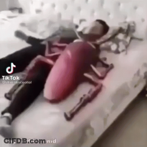 Man In Cockroach Costume Lying On Bed GIF