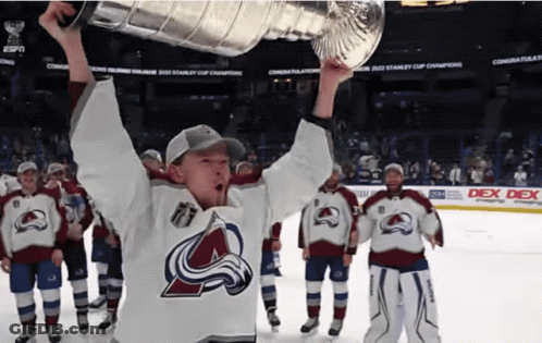 Man In Colorado Avalanche Jersey Holding Trophy GIF