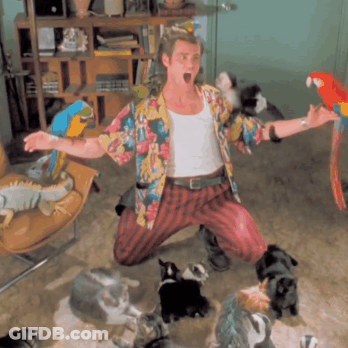 Man In Colorful Shirt Surrounded By Cats And Parrot GIF