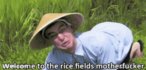 Man In Conical Hat Kneeling In Grass Welcome To The Rice Fields Motherfucker GIF