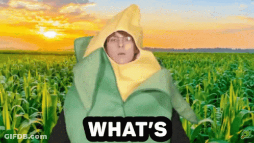 Man In Corn On The Cob Costume Saying What GIF