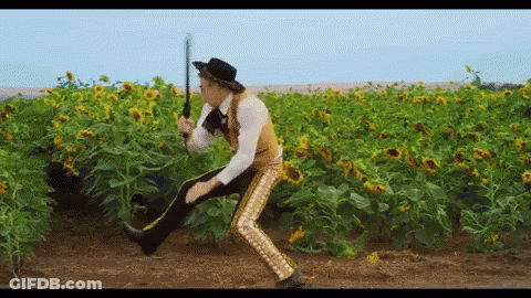 Man In Cowboy Costume Holding Sword In Sunflowers GIF