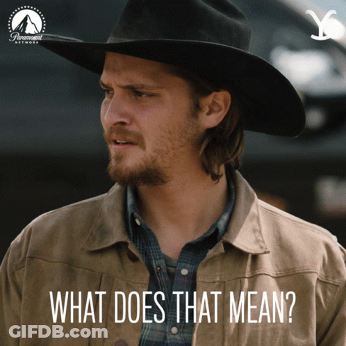 Man In Cowboy Hat And Plaid Shirt Asking What Does That Mean GIF