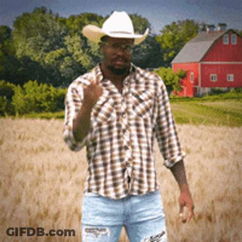 Man In Cowboy Hat And Plaid Shirt Giving Middle Finger GIF