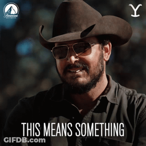 Man In Cowboy Hat And Sunglasses This Means Something GIF