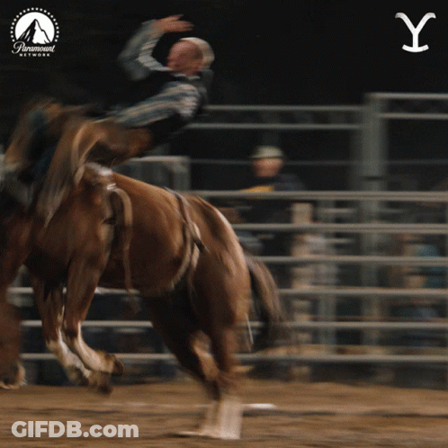 Man In Cowboy Hat And Vest Not My First Rodeo GIF
