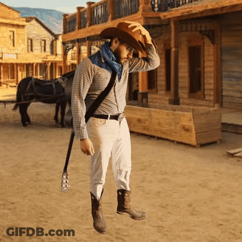 Man In Cowboy Hat Holding Guitar GIF