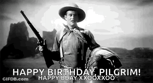 Man In Cowboy Hat Holding Gun And Horse GIF