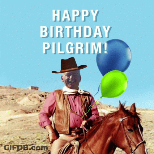 Man In Cowboy Hat Holding Gun And Horse GIF
