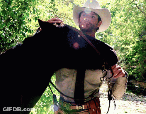 Man In Cowboy Hat Holding Horse GIF