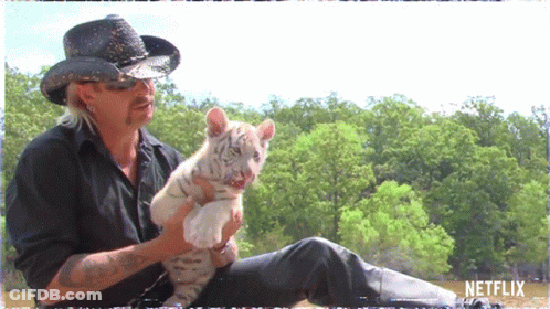 Man In Cowboy Hat Holding Small White Tiger GIF