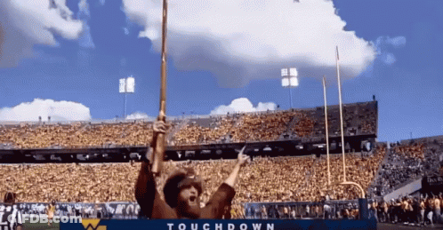 Man In Cowboy Hat Holding Touchdown Flag At Stadium GIF