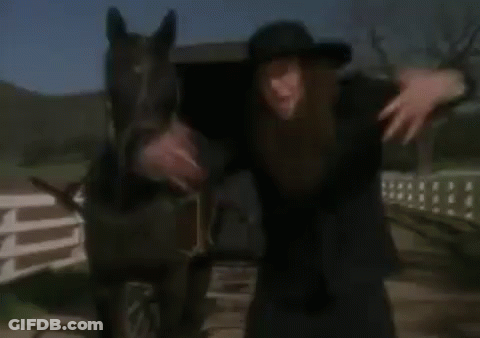 Man In Cowboy Hat Hugging Black Horse GIF