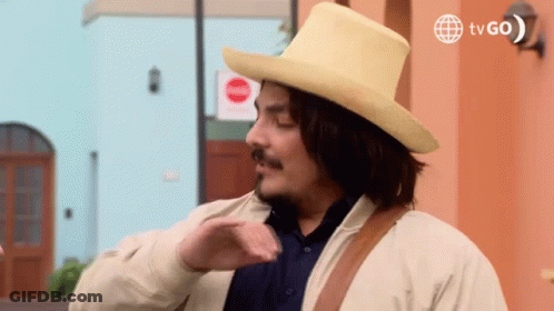 Man In Cowboy Hat In Front Of TV Go Sign GIF