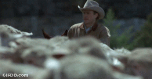 Man In Cowboy Hat In Herd Of Sheep GIF