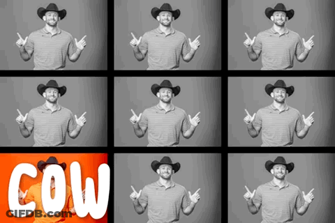 Man In Cowboy Hat Points To Cow GIF