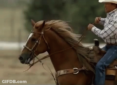Man In Cowboy Hat Riding Brown Horse GIF