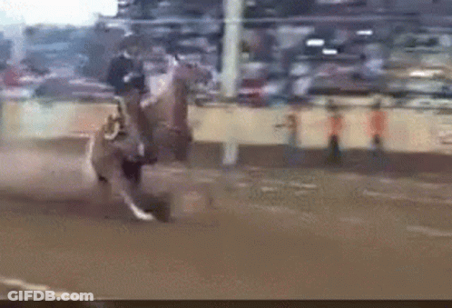 Man In Cowboy Hat Riding Horse GIF