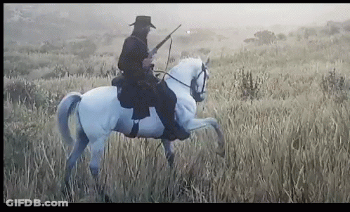 Man In Cowboy Hat Riding White Horse GIF