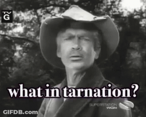 Man In Cowboy Hat Saying What In Tarnation GIF