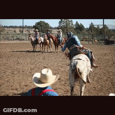 Man In Cowboy Hat Watching Cowboys On Horses GIF