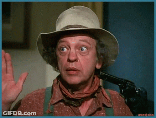 Man In Cowboy Hat With Gun Pointing At Face GIF
