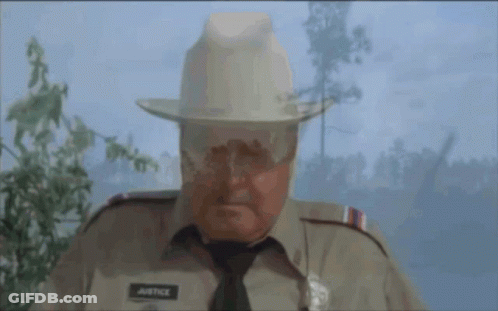 Man In Cowboy Hat With Justice Shirt GIF