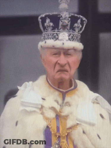Man In Crown And Purple Yellow Robe GIF