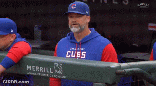 Man In Cubs Jersey In Dugout GIF