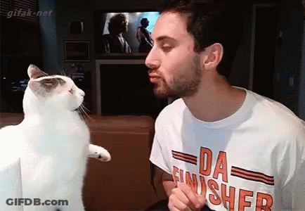 Man In Da Finisher Shirt Kissing Cat GIF